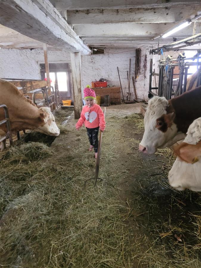 Ferienwohnung Biohof Untermar Obervellach Kültér fotó