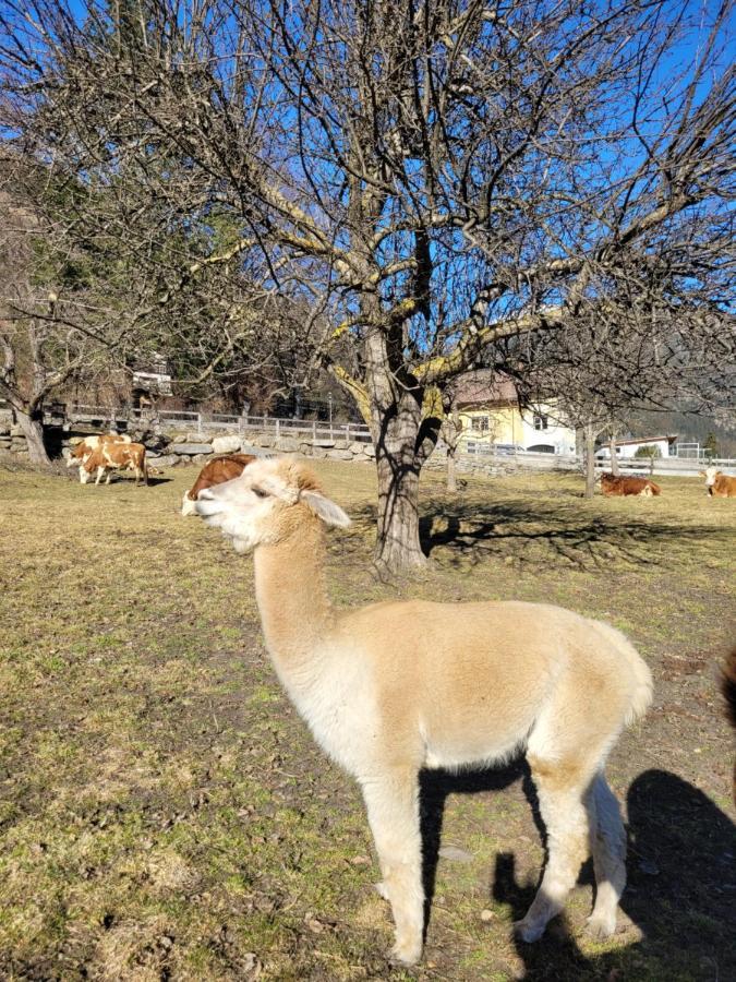 Ferienwohnung Biohof Untermar Obervellach Kültér fotó